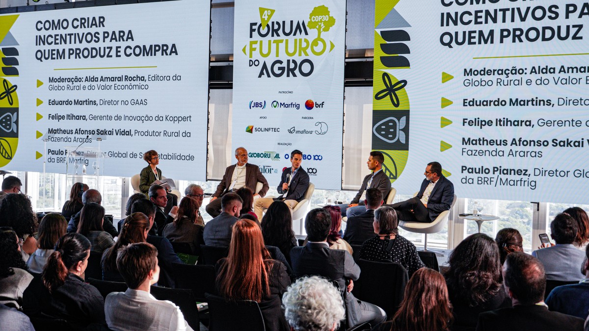 Imagem descritiva COP30: Uma visão realista e unida para o setor agrícola do Brasil
