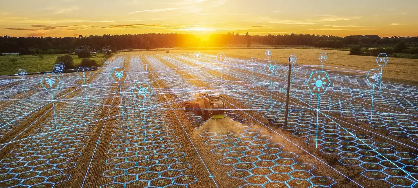 Imagem descritiva Colheita de dados: O impacto da Inteligência Artificial no agronegócio brasileiro