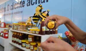 Imagem descritiva Pequenos Negócios Geram Empregos e Ajudam a Combater a Pobreza