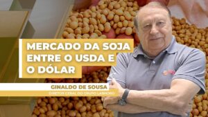 Imagem descritiva Mercado de Soja: Oportunidades em Alta